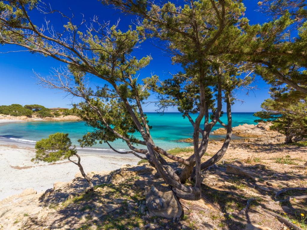 Orosei Home Holidays - Sa Vadde Cala Liberotto Eksteriør bilde